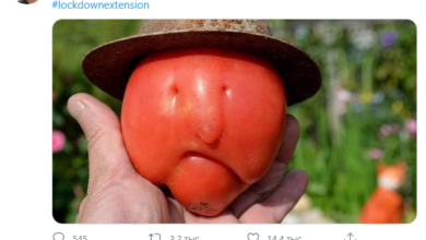 Фото - В Twitter появилось фото помидора, похожего на легенду НБА Ларри Бёрда