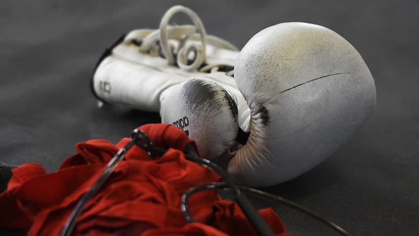 Фото - Международная ассоциация бокса отменила отстранение российских спортсменов